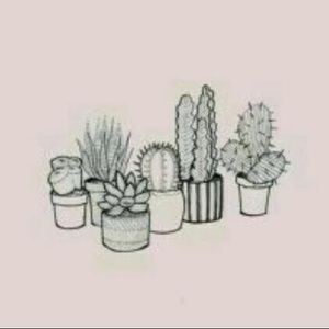 Meet your Posher, Abigail